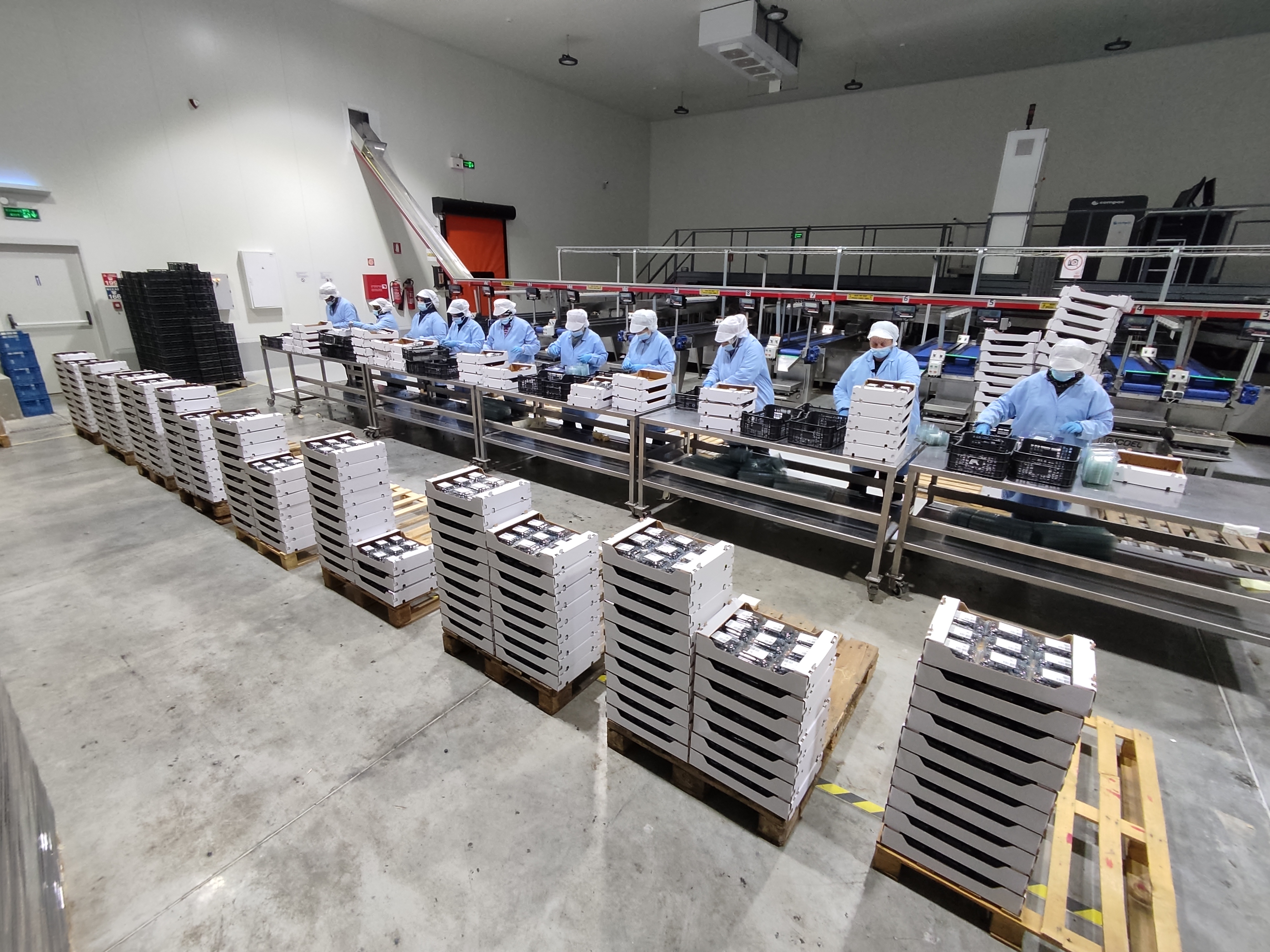 YAKA packed product pallets